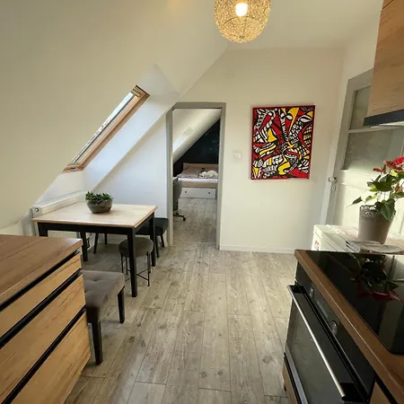 Kubin * 道尼库宾